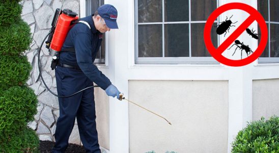 Salıpazarı Hamam Böceği İlaçlama böcek ilaçlama ve haşere kontrolü — ilaclama-tr.com